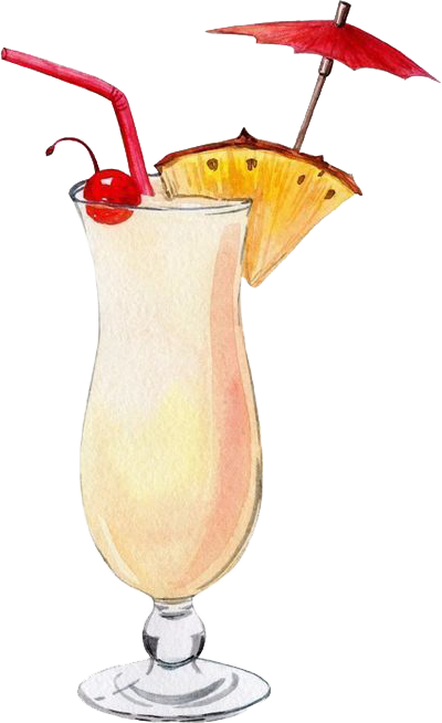 meal-illustration